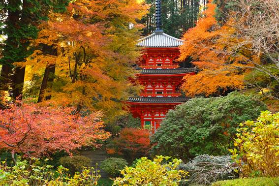 秋の奈良バスツアー