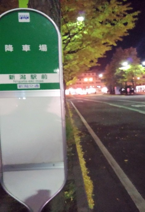 東京　新潟　夜行バス